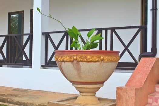 green plant inside big concrete vase near stairs