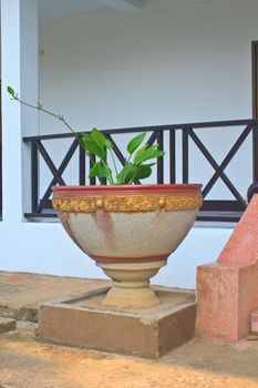 green plant inside big concrete vase near stairs