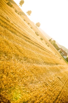 Evening after the Harvest in Bavaria, Germany.