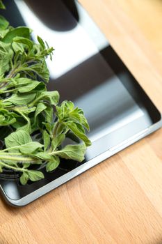 Oregano Herbs on a Tablet PC. Looking for information and recipes.