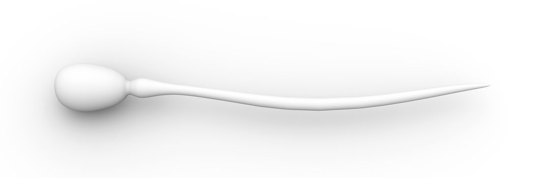 Sperm Cell. 3D rendered Illustration. Isolated on white.
