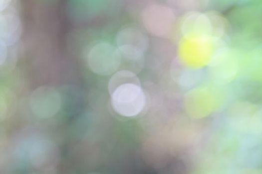 Festive blur background. Abstract twinkled bright background with bokeh defocused golden lights 