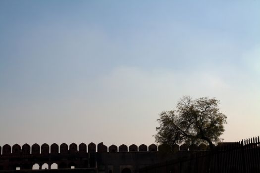A Picture of a Single Tree on the Fort Wall against a  Large Expanse of Blue sky