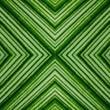 Beautiful pattern of green leaf abstract background texture