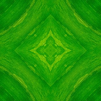 Beautiful of green leaf abstract background texture
