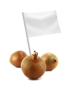 Healthy and organic food concept. Fresh onion with flag showing the benefits or the price of fruits.