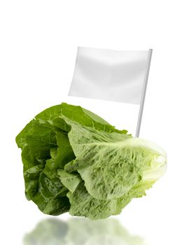 Healthy and organic food concept. Fresh Romain Lettuce with flag showing the benefits or the price of fruits.