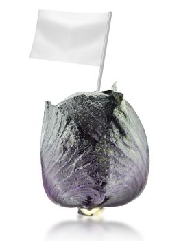 Healthy and organic food concept. Fresh red cabbage with flag showing the benefits or the price of fruits.