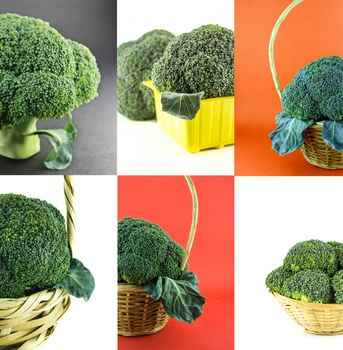 Healthy and organic food, Set of fresh broccoli .