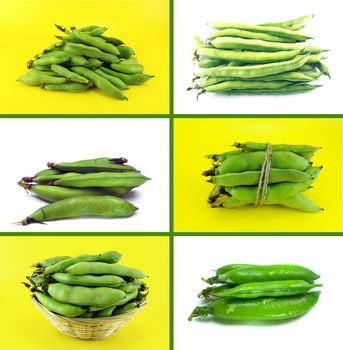 Healthy and organic food, Set of fresh broad bean pods and beans.
