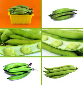 Healthy and organic food, Set of fresh broad bean pods and beans.