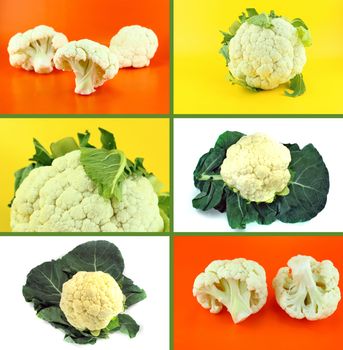 Healthy and organic food, Set of fresh cauliflower.