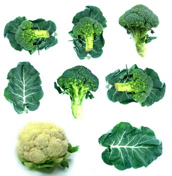 Healthy and organic food, Set of fresh broccoli .