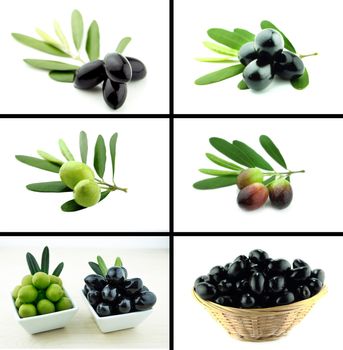 Healthy and organic food, Set of fresh black and green olive.