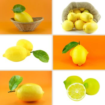 Healthy and organic food, Set of fresh Lemon.