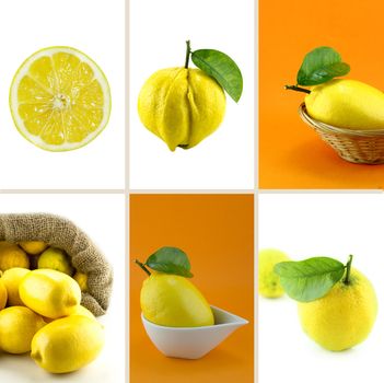 Healthy and organic food, Set of fresh Lemon.