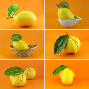 Healthy and organic food, Set of fresh Lemon.