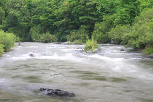 River in deep forest, river in evergreen forest in Thailand 