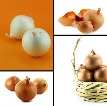 Healthy and organic food, Set of fresh Onion.