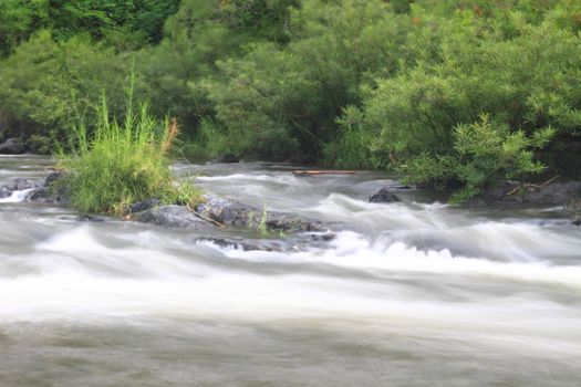 River in deep forest, river in evergreen forest in Thailand 