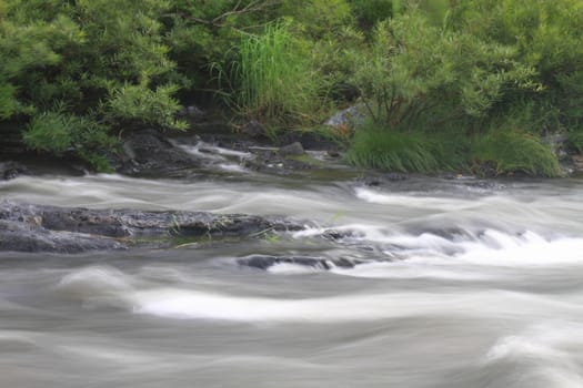 River in deep forest, river in evergreen forest in Thailand 