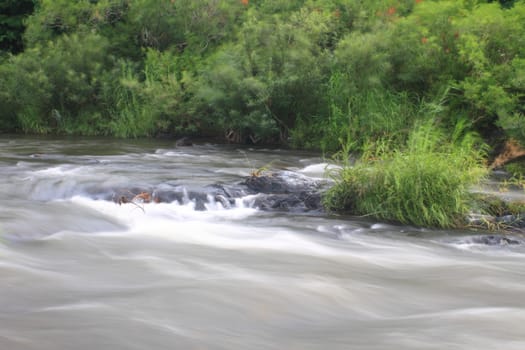 River in deep forest, river in evergreen forest in Thailand 