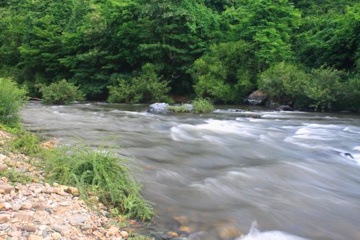 River in deep forest, river in evergreen forest in Thailand 