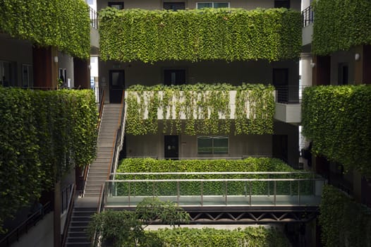 detail of modern building with plant on terrace