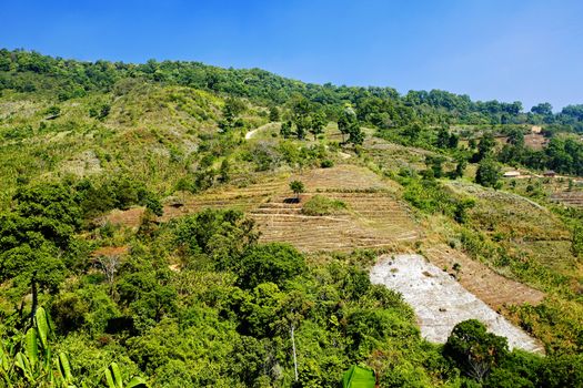 Rain forest destruction in northen of thailand