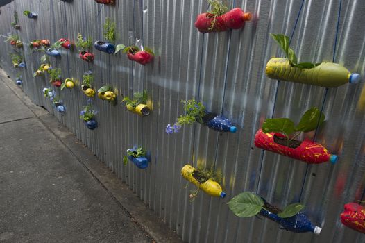 Hanging plant in recycle bottle on zinc wall.