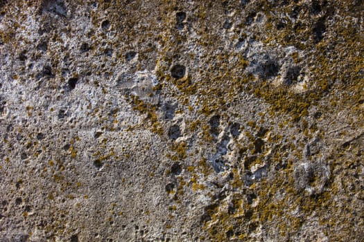 Grey concrete moss-grown surface with rich and various texture.