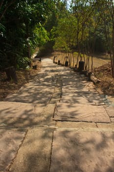 Stairway to jungle, in national park, Thailand