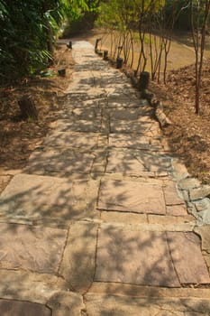 Stairway to jungle, in national park, Thailand