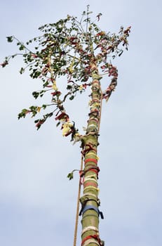 Looking up at may pole