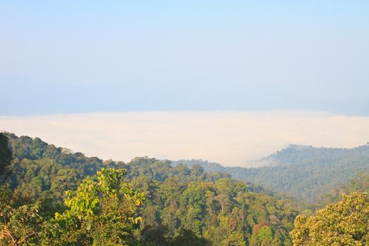 sea of fog with forests as foreground. This place is in the Kaeng Krachan national park, Thailand