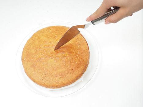 Female person cutting a slice from fresh baked cake