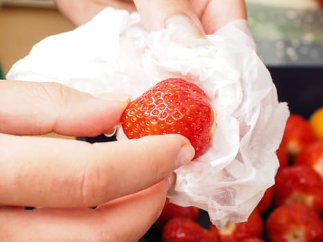 Female person drying up a washed strawberry with white household paper