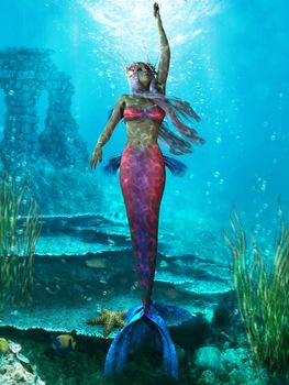 The Mermaid is a legendary aquatic creature with the upper body of a woman and the tail of a fish.