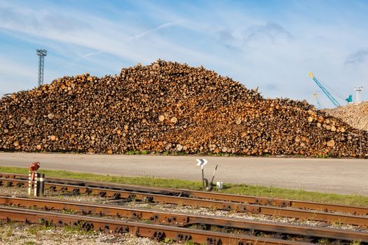 A big pile of wooden logs stacked for exportation