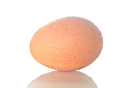 Egg  isolated on white background