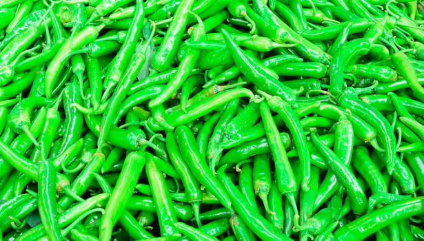 The pile of green chilli prepare for sending to process to the chili sauce in a factory.
