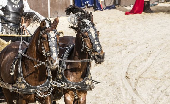 Roman chariot in a fight of gladiators, bloody circus