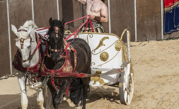 Roman chariot in a fight of gladiators, bloody circus