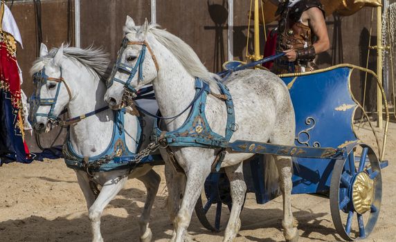 Roman chariot in a fight of gladiators, bloody circus