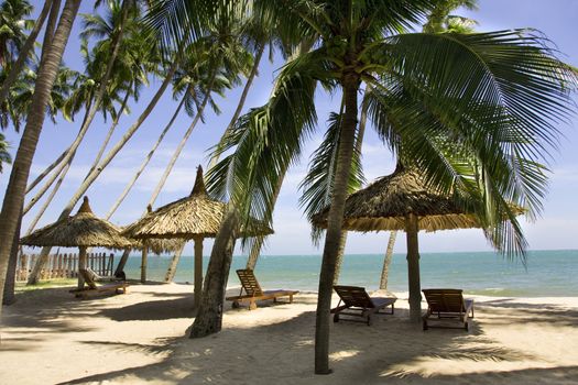 sun loungeres and  Umbrellas against  blue sea at sun day Mui Ne, Vietnam