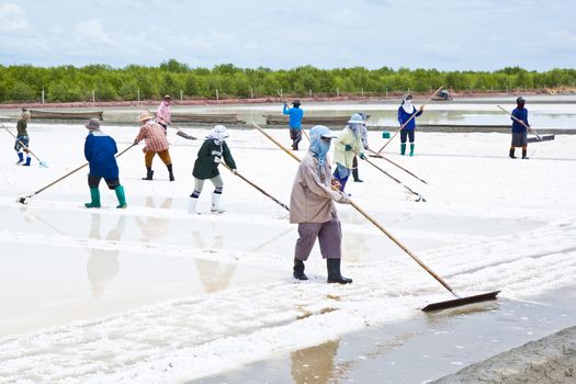 salt collecting in salt farm in Thailand