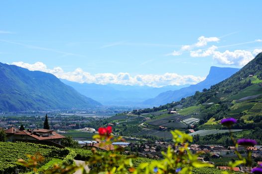 Panoramic view in direction Bolzano of the Algund Waalweg path in the Adige Valley