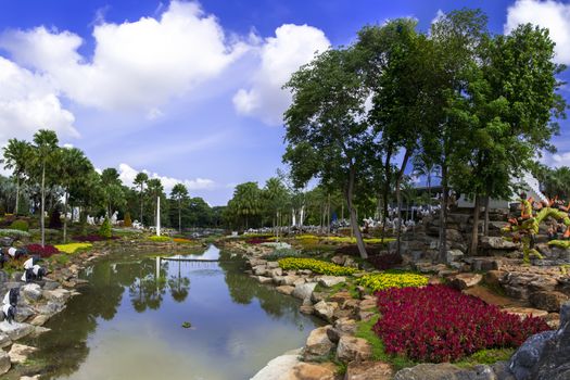 Flowers, Ponds, Gardens in Chon Buri Province of Thailand. 
