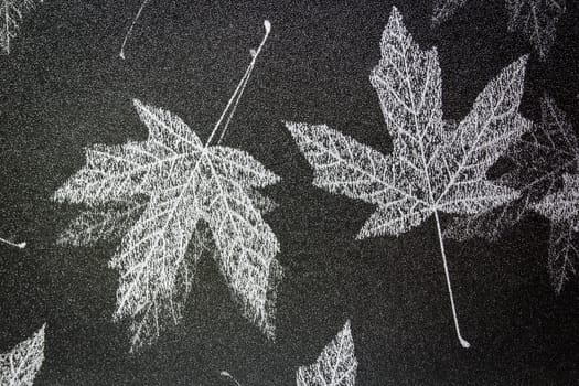 black and gray maple leaf wallpapper