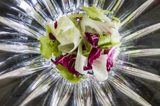 Chopped lettuce and radicchio